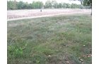 Property photo 5 - 80 Acres Offered in 4 Tracts - Horse Farm